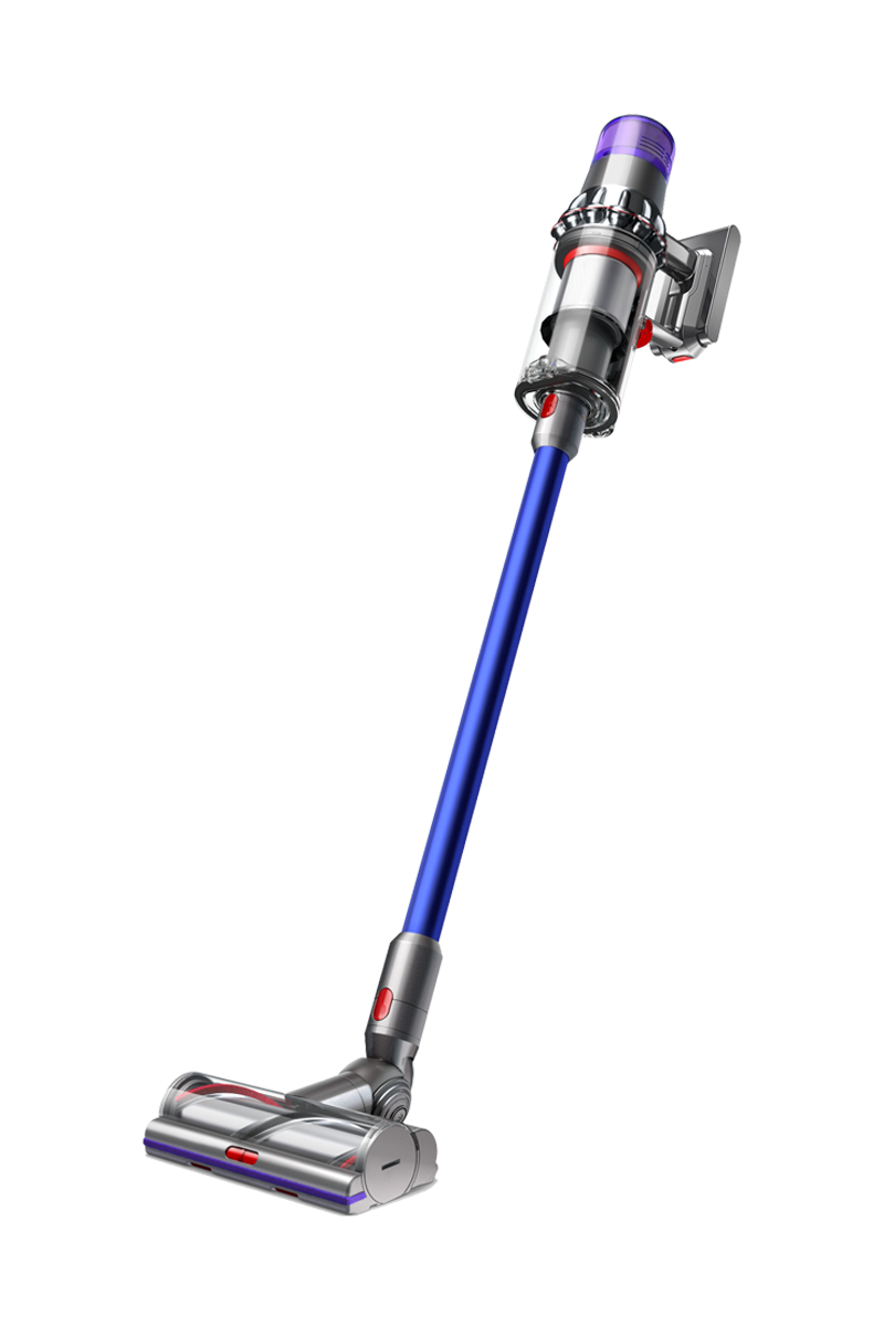 Dyson V11