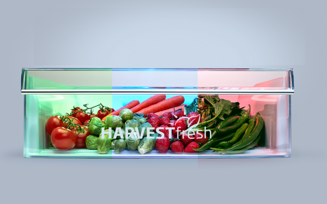 Beko hűtési technológiák a hosszan tartó frissességért