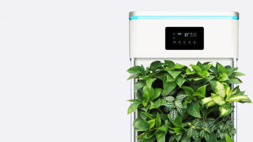 Friss levegő mindennap