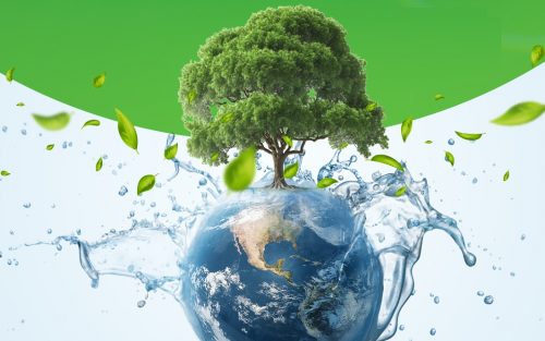 Fát ültetett a Laica