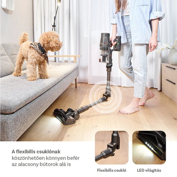 Küldetésük a tisztaság